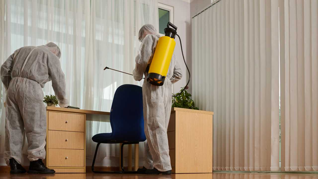 Pest Control Services